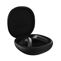 Slu&scaron;alice HiFuture FlyBuds4 ANC TWS earbuds Black